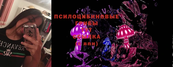 стаф Баксан