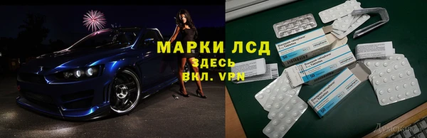 стаф Баксан