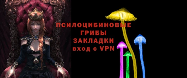 стаф Баксан