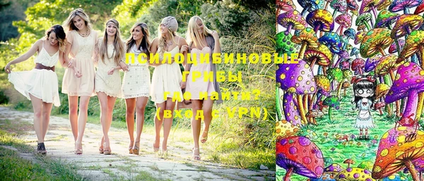 стаф Баксан