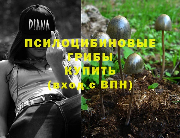 apvp Балахна
