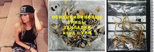 apvp Балахна