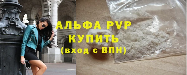 стаф Баксан