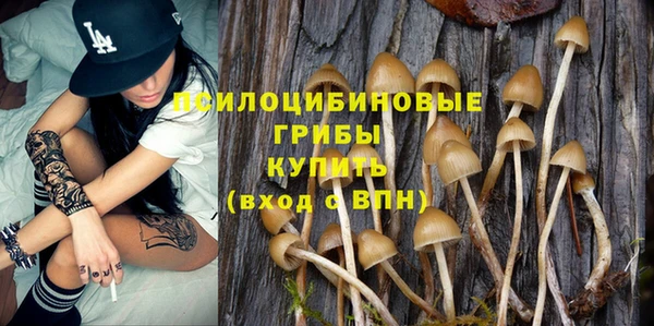 стаф Баксан