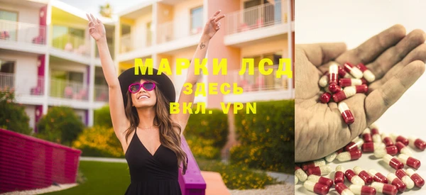 стаф Баксан