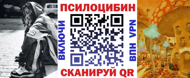 Псилоцибиновые грибы Psilocybine cubensis  сколько стоит  Кулебаки 